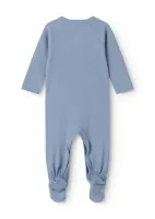 Renas_Blue_Iris_Blauw_1