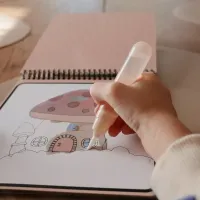 Reusable_Water_Color_Pad_Fairies__1
