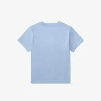 S_s_Tee_Blauw_4
