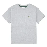 S_s_Tee_Grijs