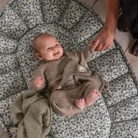 Sebra_3_in_1_Babynest_Blue_Olive_Groen