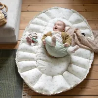 Sebra_3_in_1_Babynest_Sophora_Leaves__6