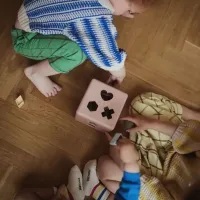 Shape_Sorting_Box_Pastel__1