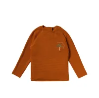 Solid___Swim_Longsleeve_Bruin