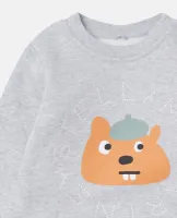 Sweatshirt_Grijs_1