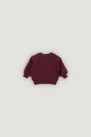 TNS_Logo_Baby_Sweatshirt_Rood_1