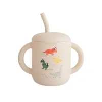 Training_Cup___Straw_Dino_
