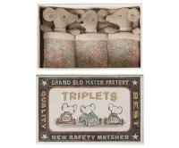 Triplets__Baby_mice_in_matchbox___Checker__1