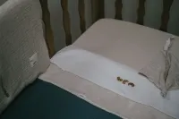 Wieglaken_Crunchy__1
