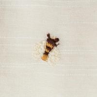 Wiepp_Shorts___Bees_Creme_2