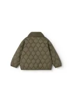 _Groen_1