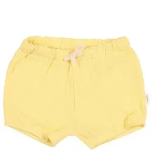 Baby_bloomer_Faro_Honey_Geel