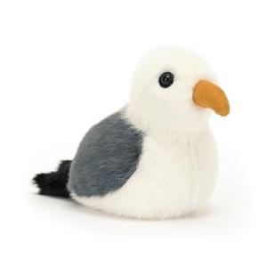 Birdling_Pigeon_1