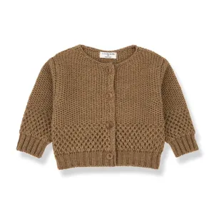 Cardigan_Bruin_2