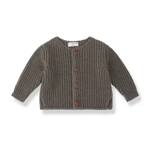 Cardigan_Bruin_3
