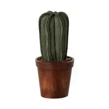 Flower_pot_with_cactus_
