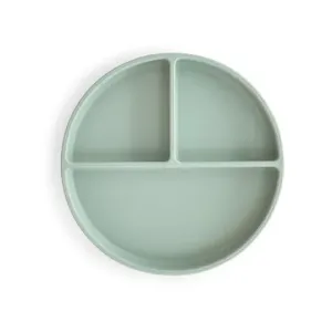 Silicone_Plate_Cambridge_Blue_