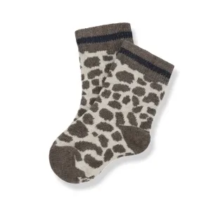 Socks_Bruin