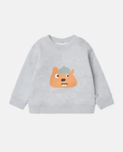 Sweatshirt_Grijs
